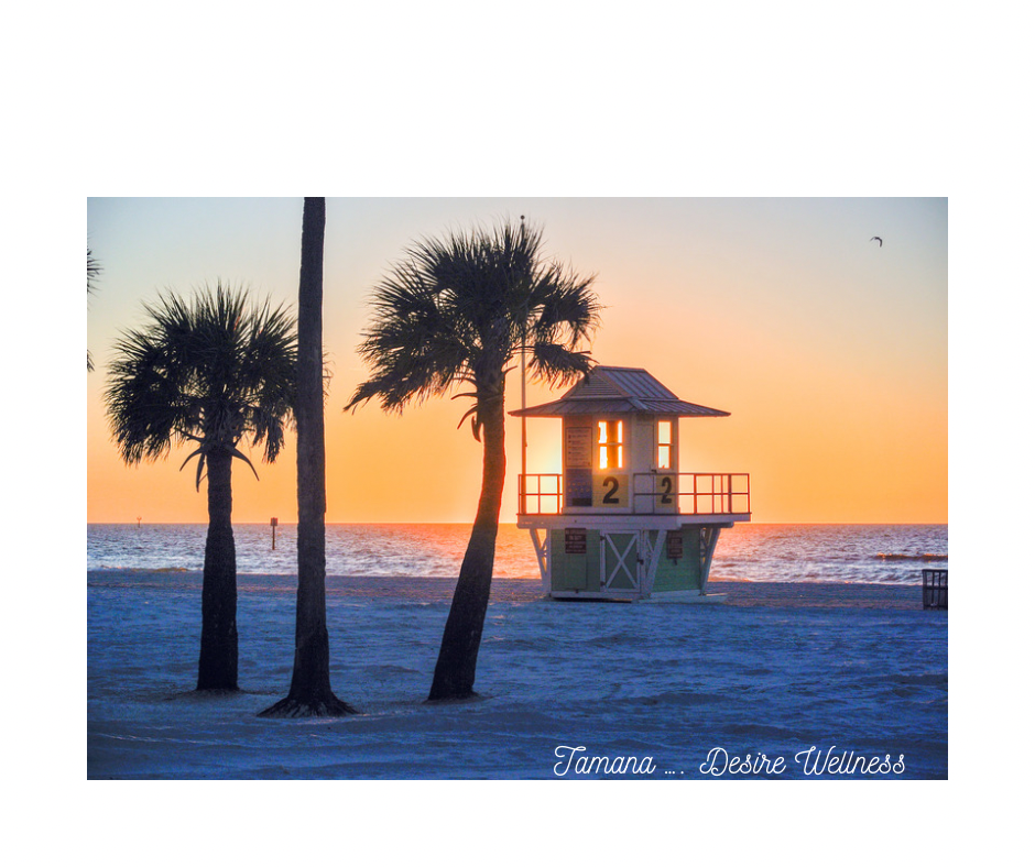 Top 5 Cafés on Clearwater Beach, FL: Sipping Coffee by the Shore