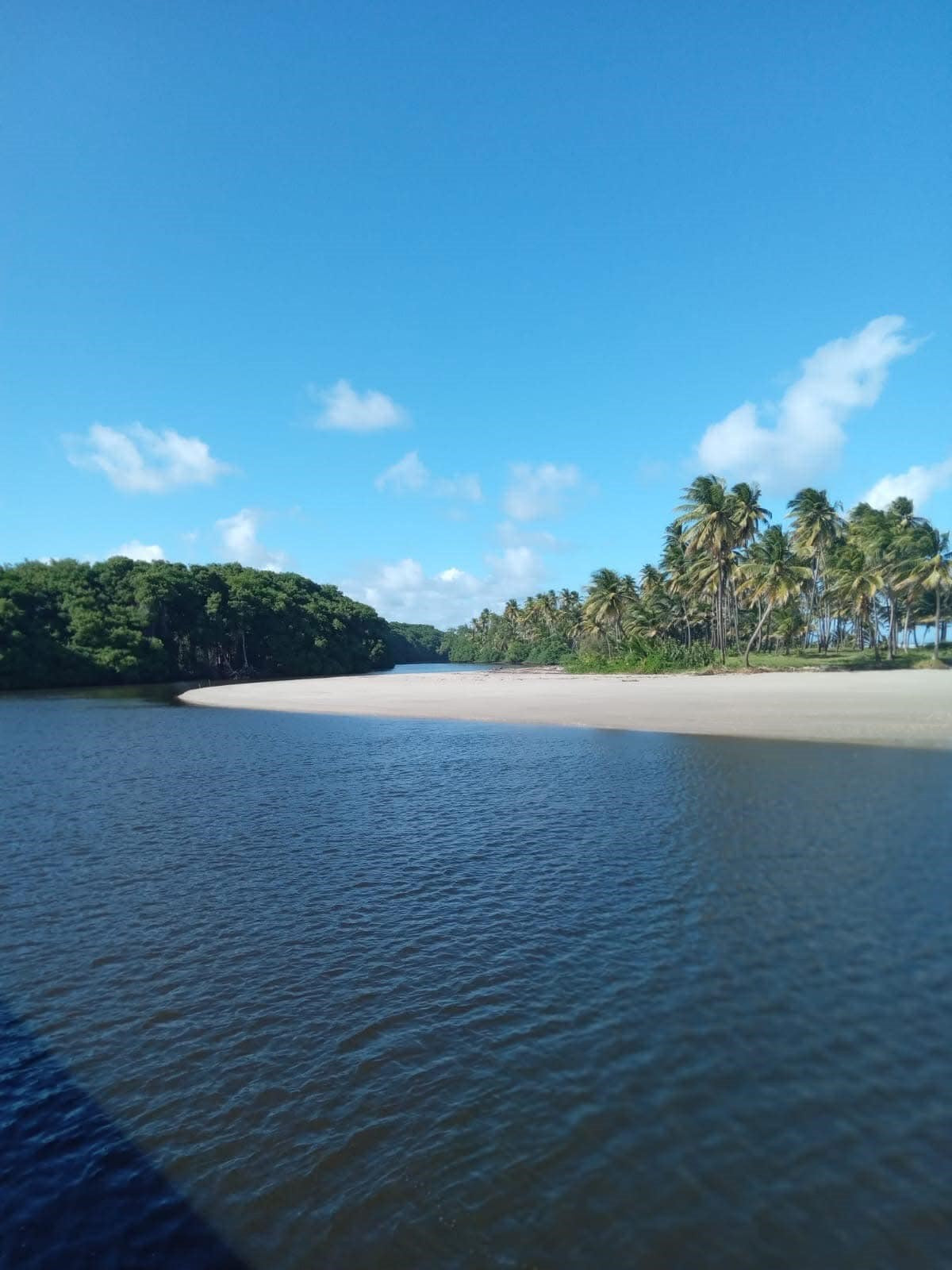 MANZANILLA HALF-CAF (Medium Dark Roast)