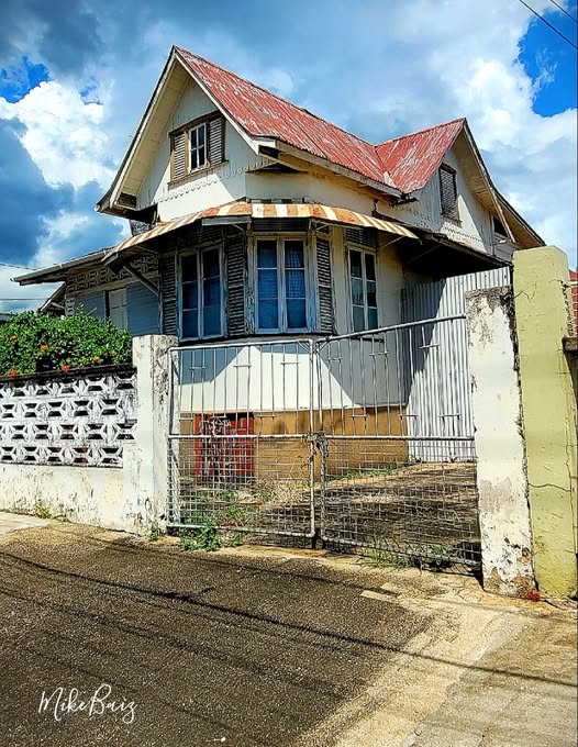 ARIMA (Medium Roast)