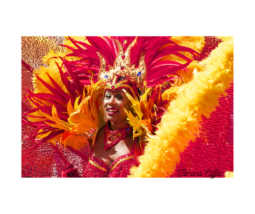 Carnival: The Soul of Trinidad and Tobago or Just a Reflection?