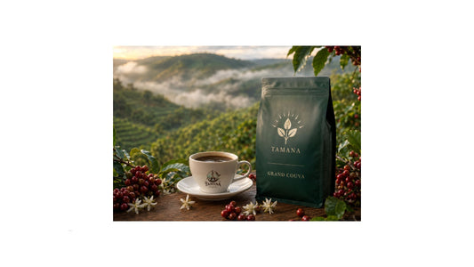 Ethiopian coffee cherries growing in the highlands near Yirgacheffe with a cup of Tamana Coffee Grand Couva, representing floral citrus coffee from Kochere Ethiopia.