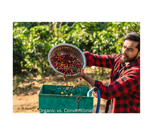 Organic vs Conventional Coffee: Understanding the Differences