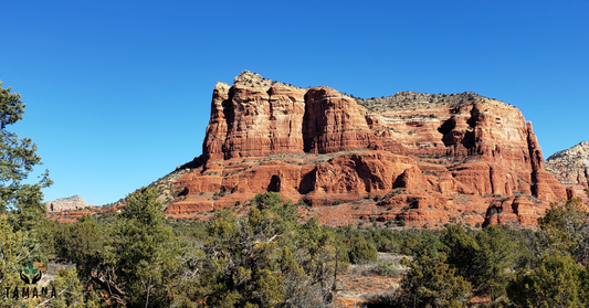 10 Cafes That Define Coffee Culture in Sedona