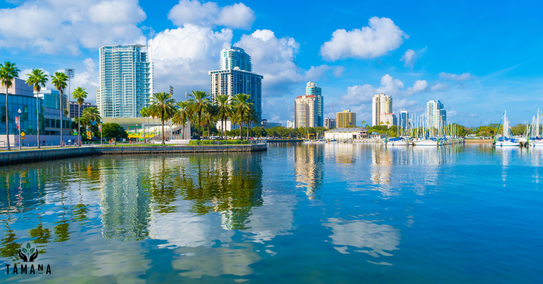 10 Cafes That Define Coffee Culture in St. Petersburg, Florida