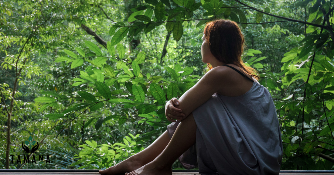 Signs You Need a Rainforest Reset