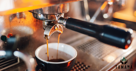 Cuban Coffee vs Specialty Coffee: What’s the Difference? (2026 Guide)