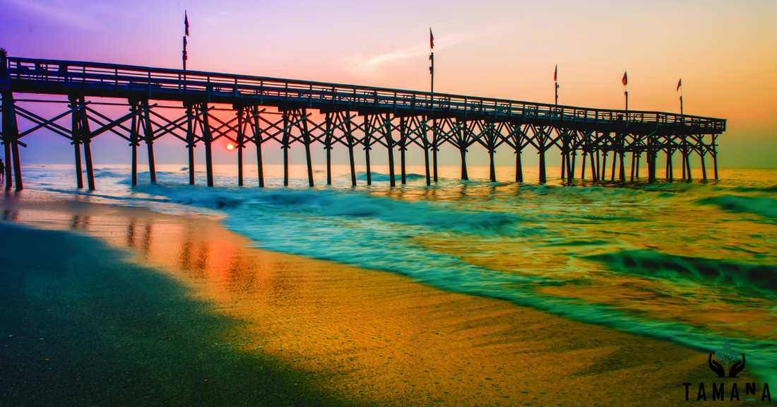 brach jetty colorful sunrise light of green and blue colos