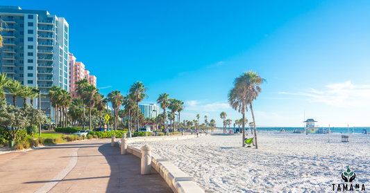 clearwater beach in daylight