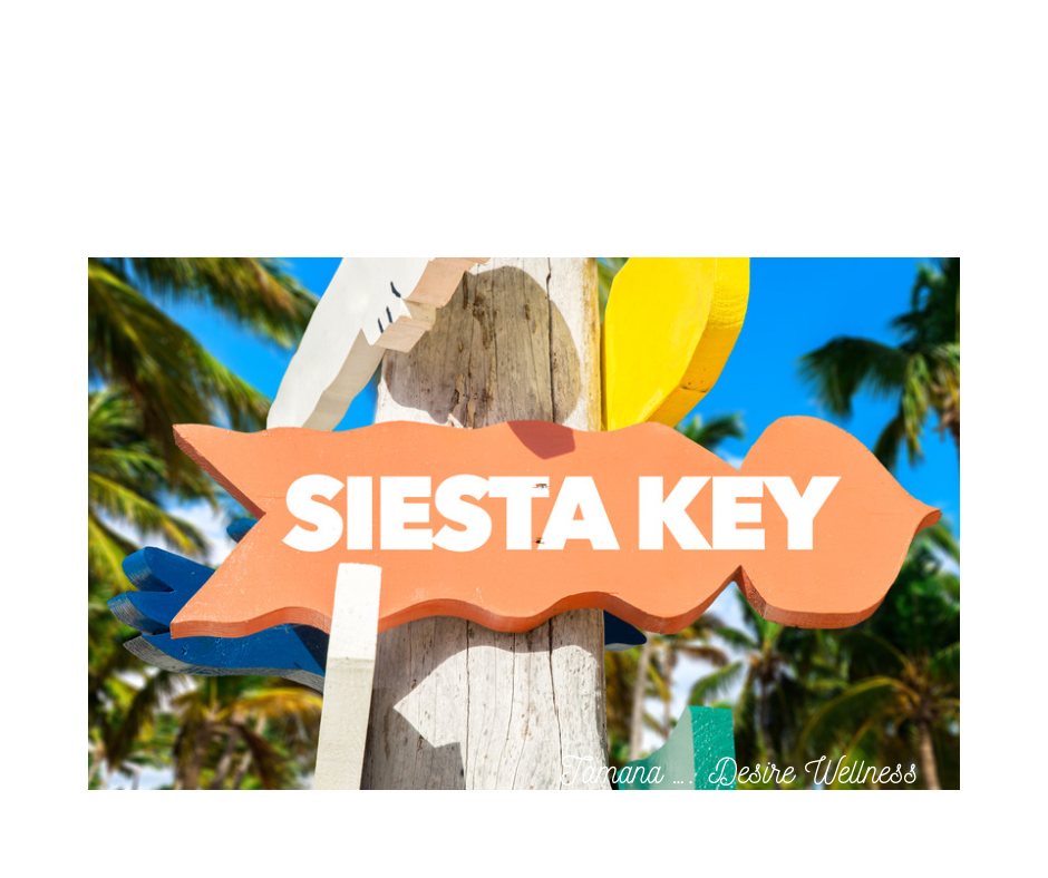 Top 5 Cafes on Siesta Key Beach, FL: A Perfect Coffee Escape by the Shore