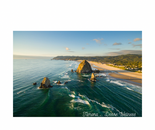 Top 5 Cafés on Cannon Beach, Oregon: Where Great Coffee Meets Ocean Views