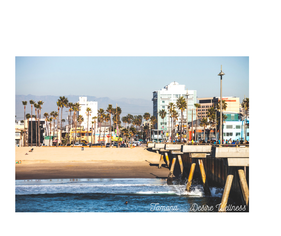 The Top 5 Cafés on Venice Beach, CA