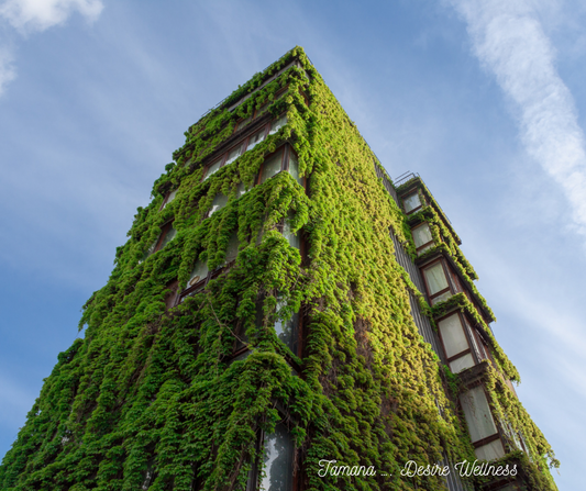 The Green Building Revolution: A Sustainable Future for Our Planet