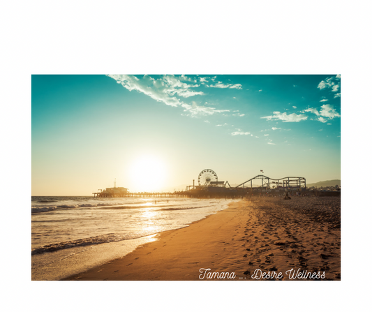 The Top 5 Cafés on Santa Monica Beach, California