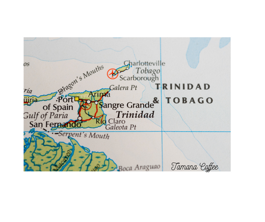 Tamana Coffee: Bridging Humanity Through the Spirit of Trinidad and Tobago