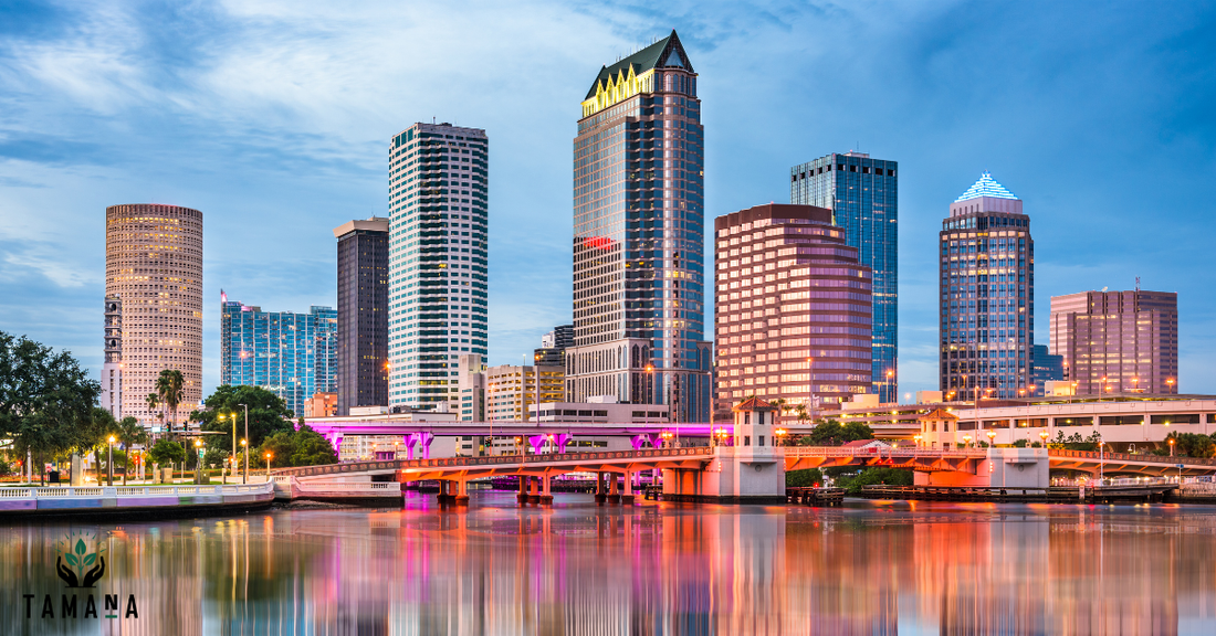 10 Cafes That Define Coffee Culture in Tampa