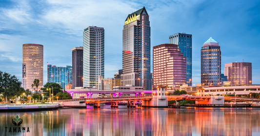 10 Cafes That Define Coffee Culture in Tampa