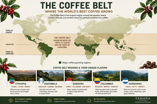 illustrated world map of the coffee belt showing major coffee growing areas