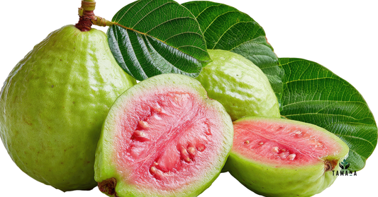 Guava Leaf Tea Benefits