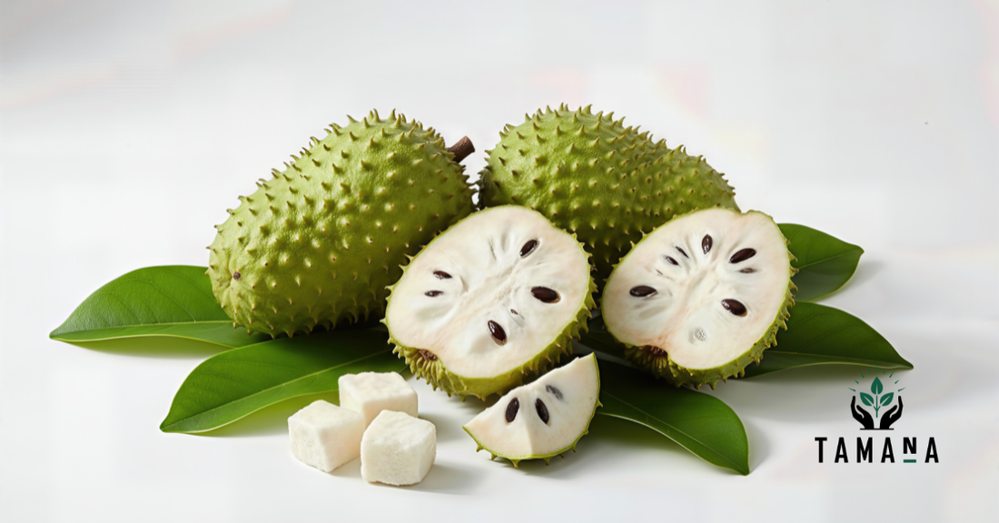 Soursop Leaf Tea: Benefits, Uses, and the Caribbean Healing Tradition
