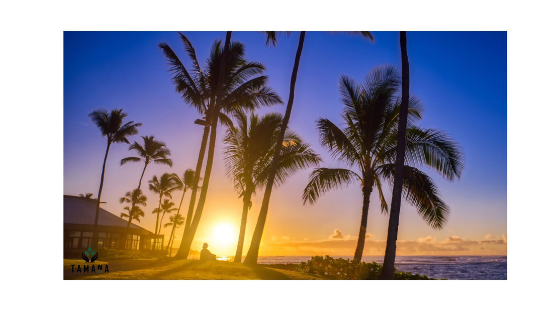 Best Sunrise Coffee Spots in Florida (2026 Guide): Where Morning Meets the Gulf and Atlantic