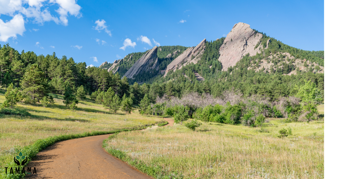 boulder colorado mountains green vegetation in foreground and tree line in the distance