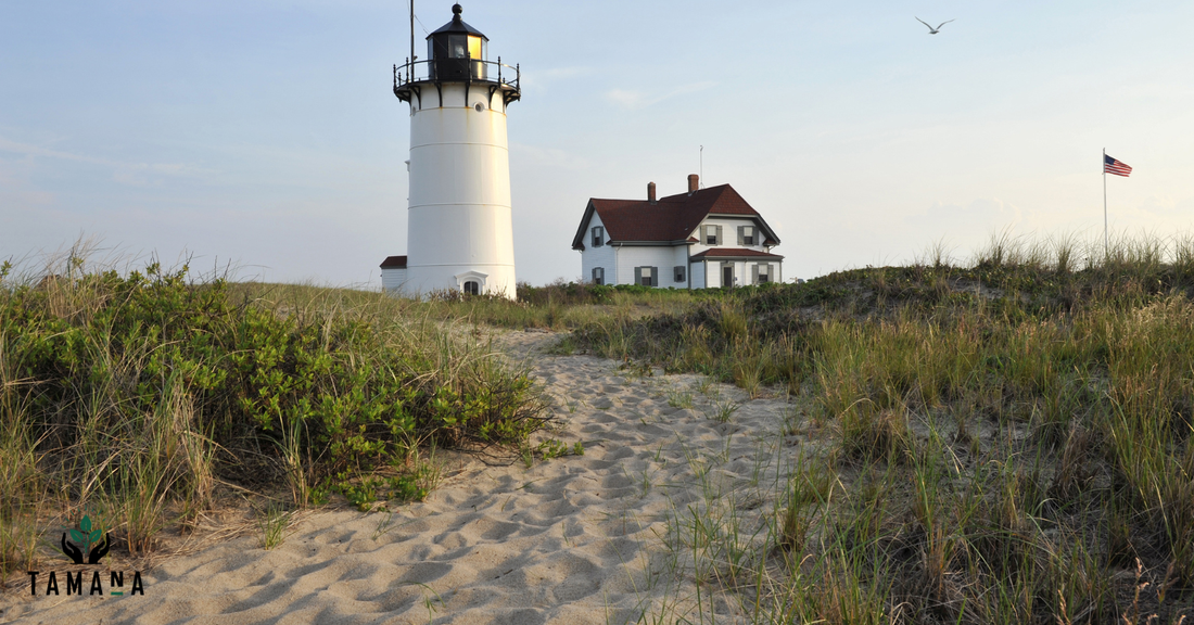 cape may lighthouse