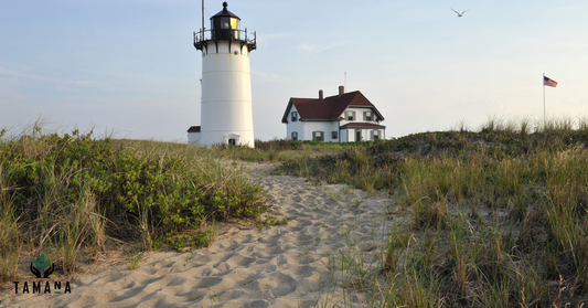 cape may lighthouse