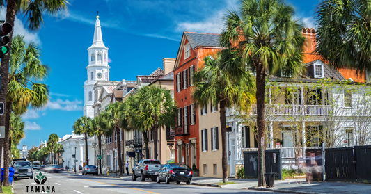 downtown Charleston SC with old style house and palm trees along the main street