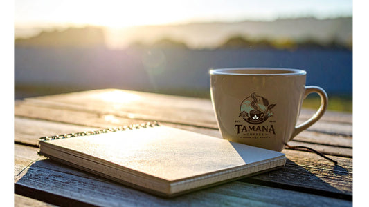Why Coffee and Morning Sunlight Create a Powerful Daily Reset – 2026 Guide