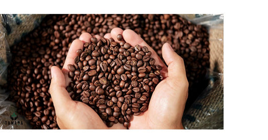 How to Choose the Right Coffee Beans (Simple Guide for Better Coffee at Home)