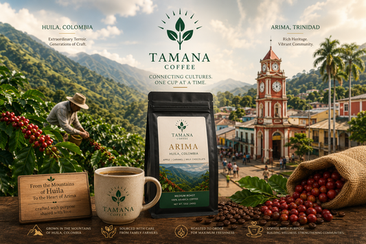 Huila Coffee: Why This Colombian Region Produces Some of the World’s Most Sought-After Coffee