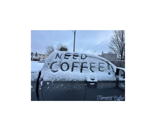 From the Tunapuna Market to a Snowstorm: A Journey Through Coffee and Memories