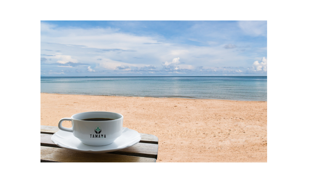 Top 10 Beach Coffee Experiences in the USA (2026 Guide): Moments That Stay With You