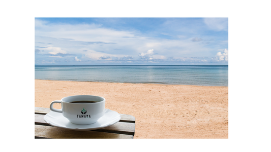 Top 10 Beach Coffee Experiences in the USA (2026 Guide): Moments That Stay With You