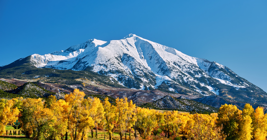 colorado mountains yellow trees in foregroung and snow covered in the background