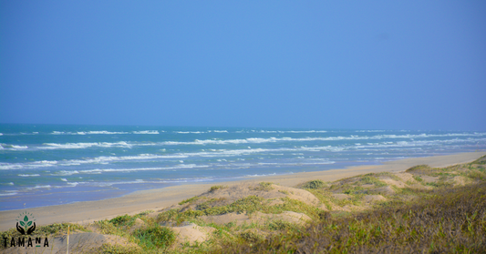 corpus cristi beach blue sky breaking waves