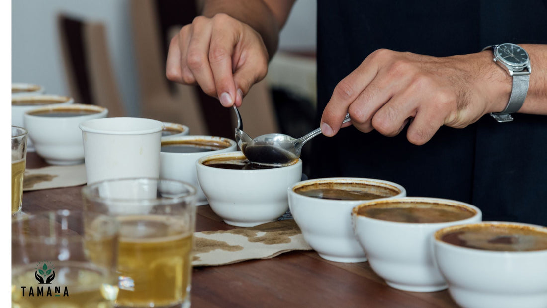 Why Specialty Coffee Feels Cleaner Than Commercial Coffee (2026 Guide)