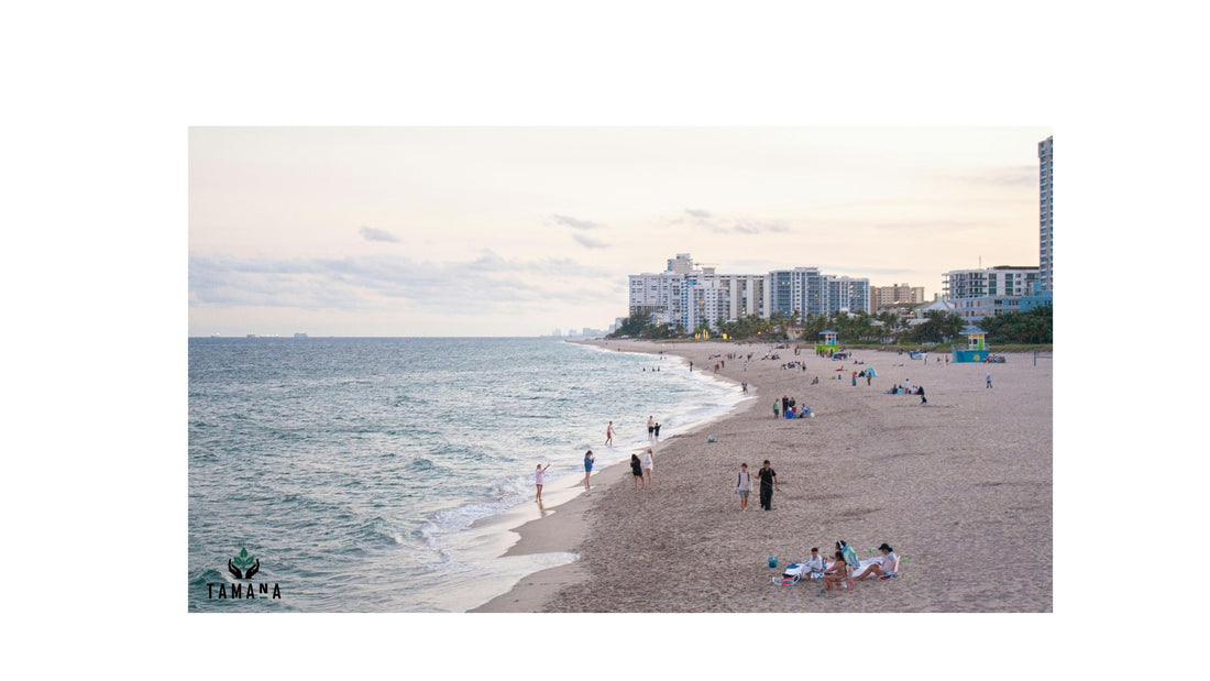 Top 5 Beach Cafés in Destin, FL (2026 Guide): Coffee on Florida’s Emerald Coast