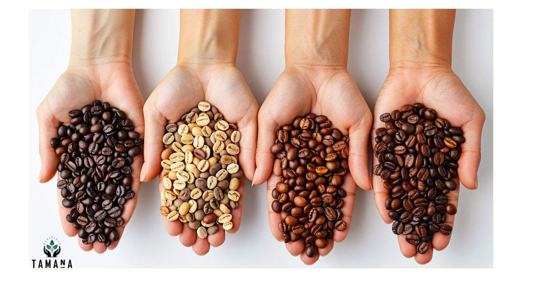 different types of coffee showing light medium and dark roast comparison