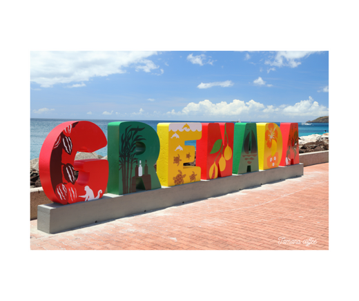 Adventures, Good People, and the Comfort of Coffee: A Tale of Tobago and Grenada