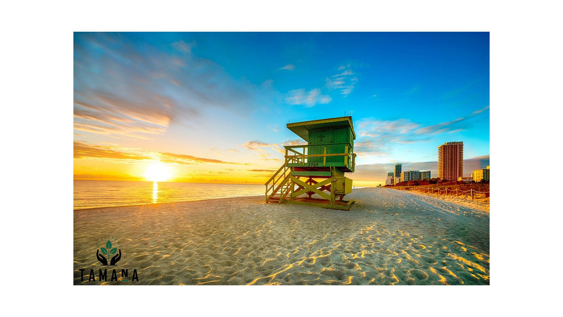 Best Coffee Shops in Miami for an Early Morning Routine (2026 Guide)