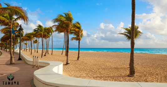 fort lauderdal beach on boardwalk with coconut trees tan sand beach and blue sea in the distance a