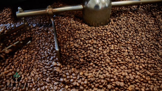 Why Freshly Roasted Coffee Matters More Than Most People Think – 2026 Guide