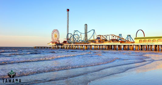 beach with fairgrounds in background evening sunlight