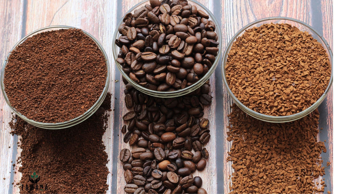 Why Smooth Coffee Creates Steadier Energy Throughout the Day – 2026 Guide