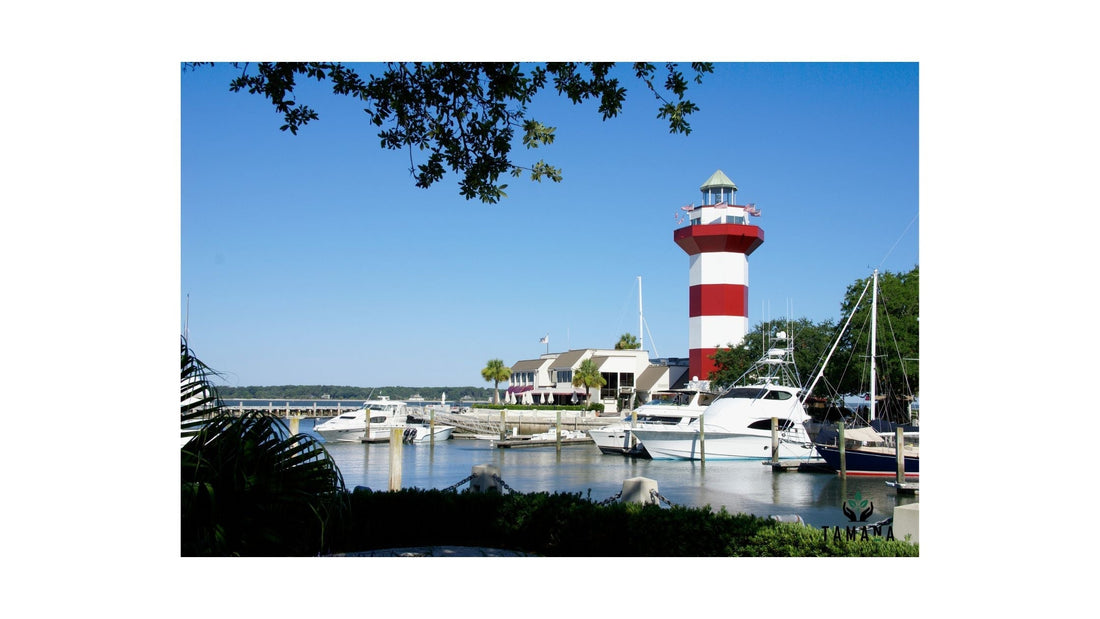 Top 5 Beach Cafés in Hilton Head Island, SC (2026 Guide): Coffee and Coastal Elegance