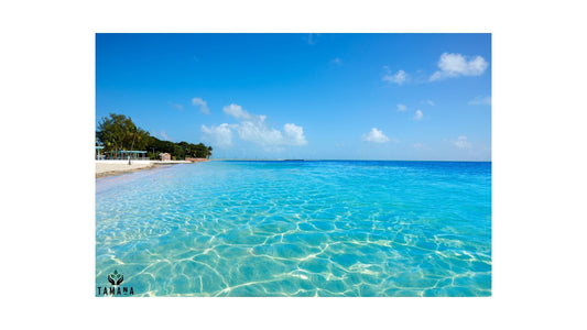 Top 5 Beach Cafés in Key West, FL (2026 Guide): Coffee at the Edge of the Ocean