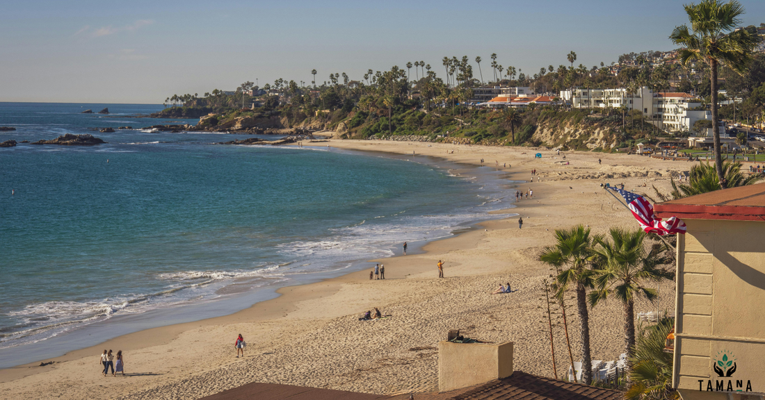 Beach on sunny day at laguna beach
