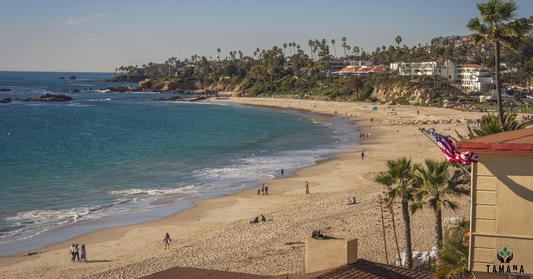 Beach on sunny day at laguna beach