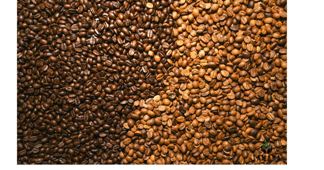 Light Roast vs Dark Roast: Which Is Better? (Complete Guide for 2026)